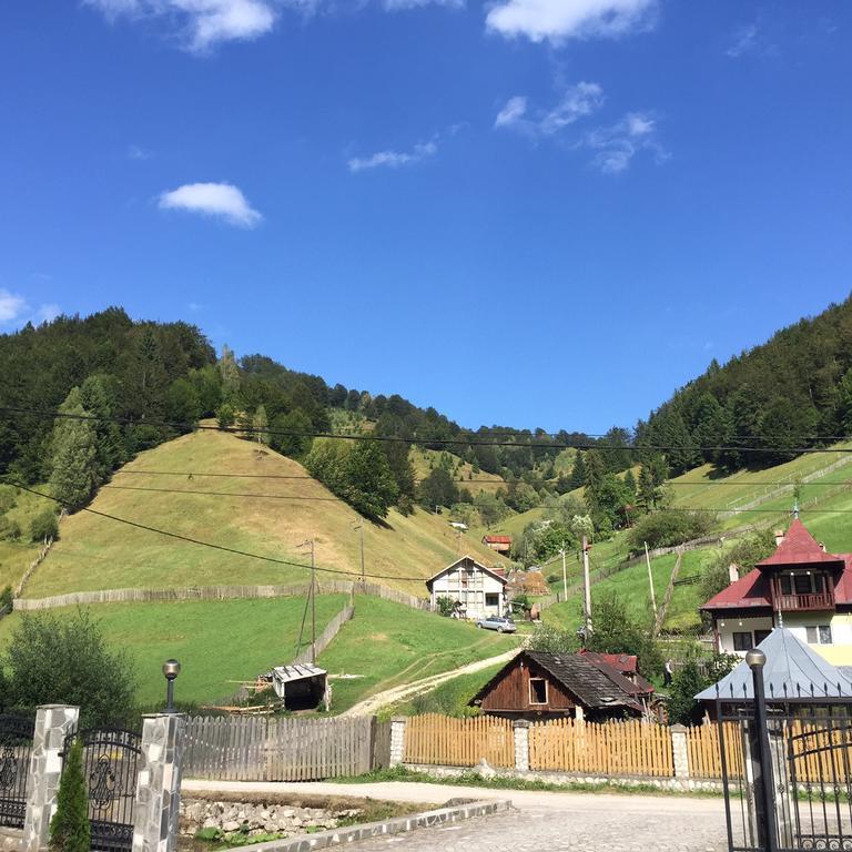 Pensiune Restaurant Piatra Craiului Dîmbovicioara 외부 사진