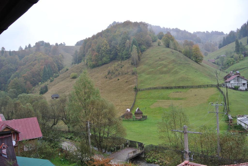 Pensiune Restaurant Piatra Craiului Dîmbovicioara 외부 사진